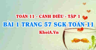 Bài 1 trang 57 SGK Toán 11 tập 1 Cánh Diều